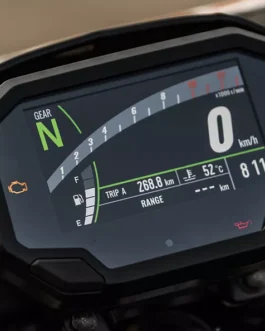 KAWASAKI Z650 SCREEN PROTECTOR (2020+) PRISM GUARD