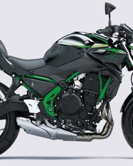 KAWASAKI Z650 SCREEN PROTECTOR (2020+) PRISM GUARD