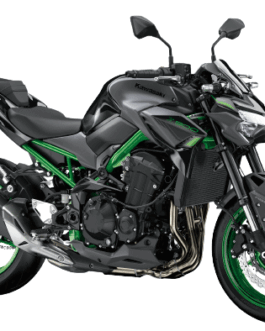 KAWASAKI Z900 SCREEN PROTECTOR PRISM GUARD