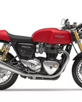 TRIUMPH THUXTON -R   SCREEN PROTECTOR PRISM GUARD